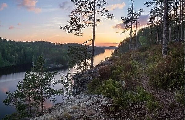 Scenic forest landscape with beautiful sunset and sunlight at summer evening in Finland