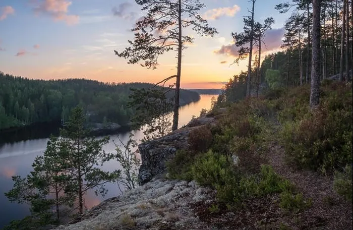 Framed Print : Scenic forest landscape with beautiful sunset and sunlight at summer evening in Finland Framed Print : Scenic forest landscape with beautiful sunset and sunlight at summer evening in Finland