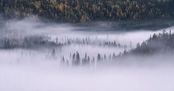 Scenic forest landscape with fog and misty mood at autumn morning in Finland