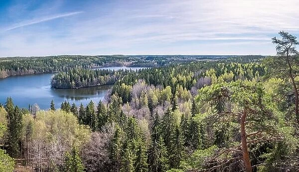 Scenic forest landscape with lake and trees at bright sunny spring day in Finland