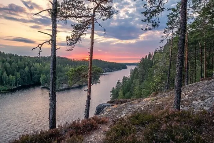 Framed Print : Scenic forest landscape with tarnquil mood and idyllic sunset at summer evening in Finland Framed Print : Scenic forest landscape with tarnquil mood and idyllic sunset at summer evening in Finland