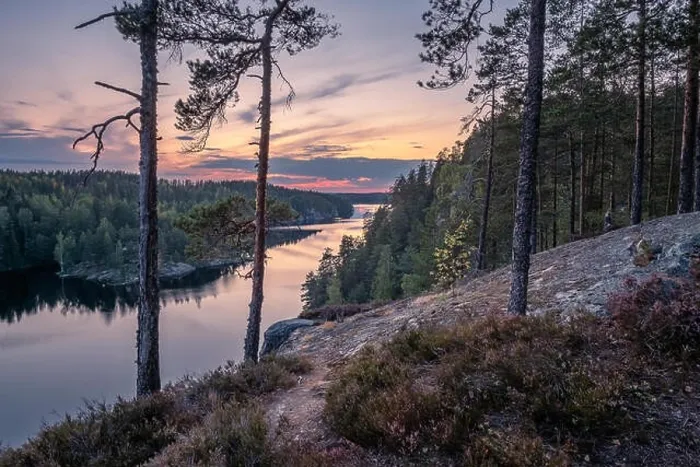 Framed Print : Scenic forest landscape with tarnquil mood and idyllic sunset at summer evening in Finland Framed Print : Scenic forest landscape with tarnquil mood and idyllic sunset at summer evening in Finland