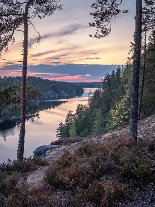 Framed Print : Scenic forest landscape with tarnquil mood and idyllic sunset at summer evening in Finland Framed Print : Scenic forest landscape with tarnquil mood and idyllic sunset at summer evening in Finland