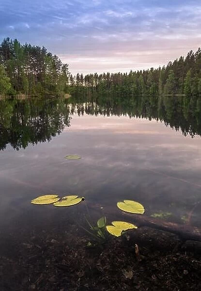 Scenic lake landscape with bright water and evening light at summer in Loppi, Finland