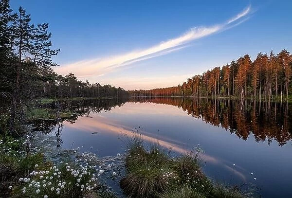 Scenic lake view with flowers and sunset at peaceful evening in Finland