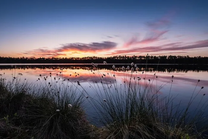 Framed Print : Scenic lake view with flowers and sunset at peaceful evening in Finland Framed Print : Scenic lake view with flowers and sunset at peaceful evening in Finland