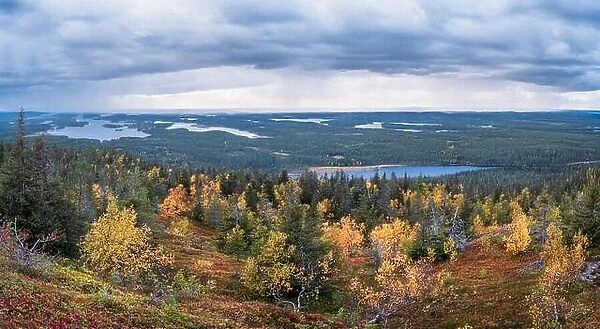 Scenic landscape with fall colors forest and mood clouds on the top of the hill at autumn evening in Lapland, Finland