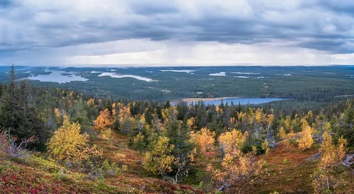 Framed Print : Scenic landscape with fall colors forest and mood clouds on the top of the hill at autumn evening in Lapland, Finland Framed Print : Scenic landscape with fall colors forest and mood clouds on the top of the hill at autumn evening in Lapland, Finland