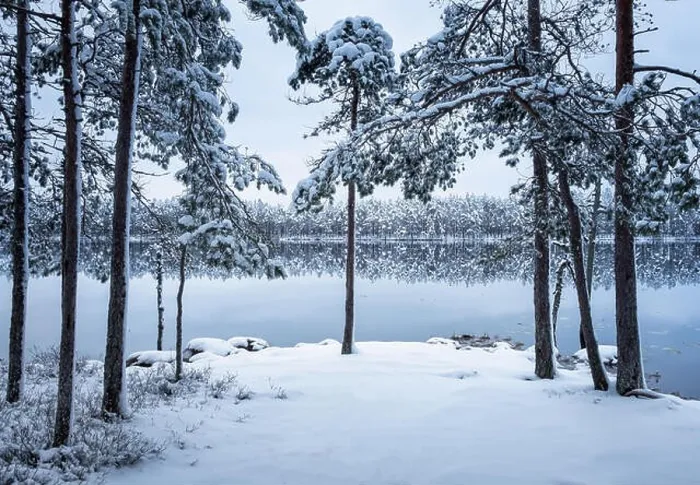 Framed Print : Scenic landscape with forest and lake at winter evening in Finland Framed Print : Scenic landscape with forest and lake at winter evening in Finland
