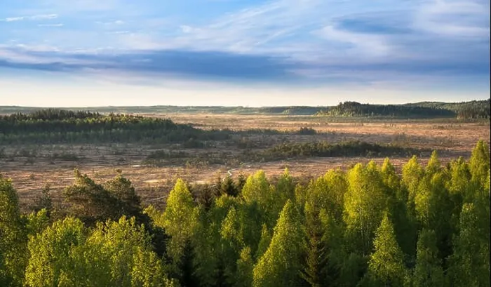 Framed Print : Scenic landscape with morning light at swamp in National Park, Torronsuo, Finland Framed Print : Scenic landscape with morning light at swamp in National Park, Torronsuo, Finland