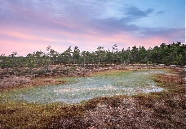 Scenic landscape at summer night in the swamp, National Park, Torronsuo, Finland