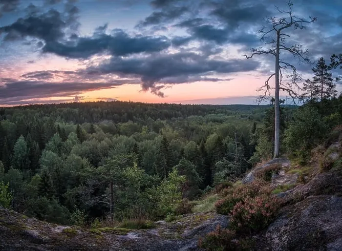 Framed Print : Scenic landscape with sunrise and forest at early morning in National Park Nuuksio, Finland Framed Print : Scenic landscape with sunrise and forest at early morning in National Park Nuuksio, Finland