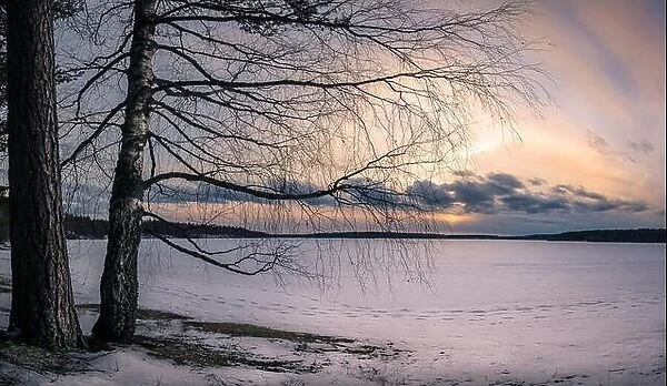 Scenic landscape with tree branches and sunset at winter evening