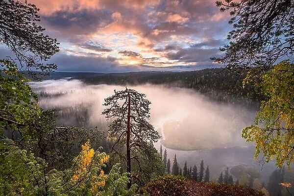 Scenic landscape view with morning fog and fall colors at moody day in Kuusamo, Finland