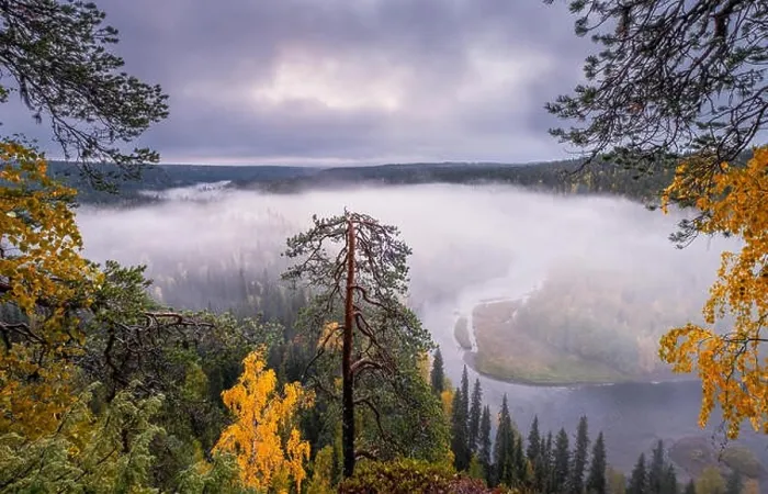 Framed Print : Scenic landscape view with morning fog and fall colors at moody day in Kuusamo, Finland Framed Print : Scenic landscape view with morning fog and fall colors at moody day in Kuusamo, Finland