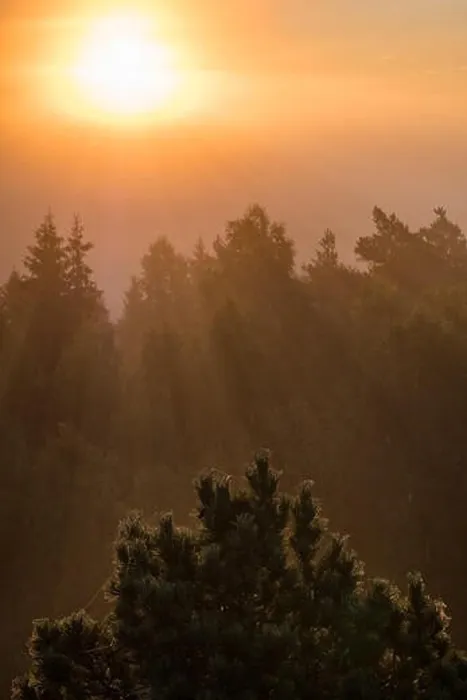 Framed Print : Scenic misty landscape with sunlight haze and light beams at autumn morning in Finland Framed Print : Scenic misty landscape with sunlight haze and light beams at autumn morning in Finland