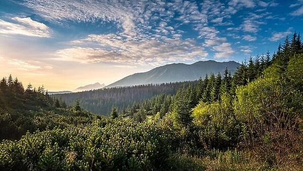 Scenic mountain view with mood sunrise at summer morning in Tatra National park, Poland