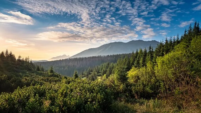 Framed Print : Scenic mountain view with mood sunrise at summer morning in Tatra National park, Poland Framed Print : Scenic mountain view with mood sunrise at summer morning in Tatra National park, Poland