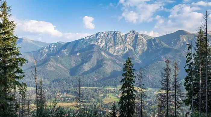 Framed Print : Scenic panorama mountain landscape with evening light and trees at summertime in Zakopane, Poland Framed Print : Scenic panorama mountain landscape with evening light and trees at summertime in Zakopane, Poland