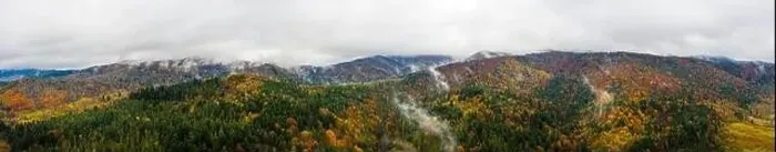 Framed Print : Scenic panoramic autumn landscape. Beautiful mountains and forests of nature in Ukrainian Carpathians Framed Print : Scenic panoramic autumn landscape. Beautiful mountains and forests of nature in Ukrainian Carpathians