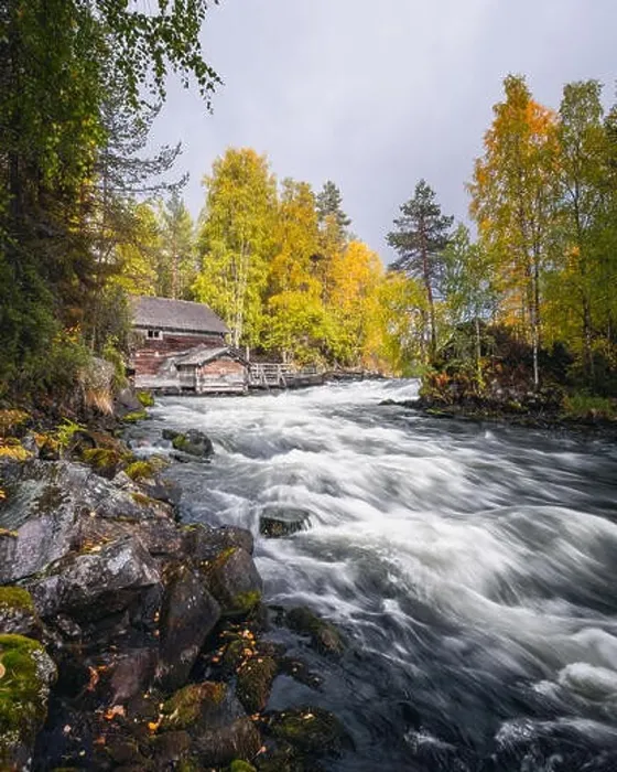 Framed Print : Scenic river landscape with beautiful fall colors at autumn day in National park, Finland Framed Print : Scenic river landscape with beautiful fall colors at autumn day in National park, Finland