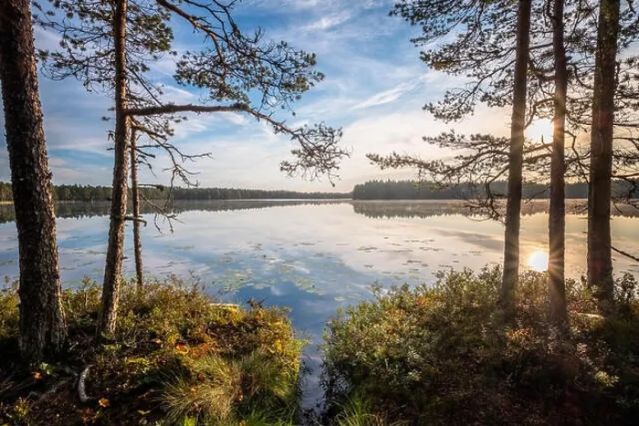 Framed Print : Scenic sunrise landscape with lake and woodland at peaceful summer morning in Finland Framed Print : Scenic sunrise landscape with lake and woodland at peaceful summer morning in Finland