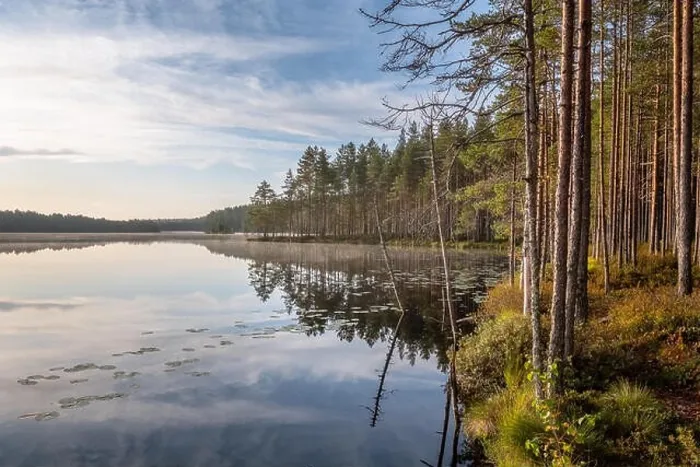 Framed Print : Scenic sunrise landscape with lake and woodland at peaceful summer morning in Finland Framed Print : Scenic sunrise landscape with lake and woodland at peaceful summer morning in Finland