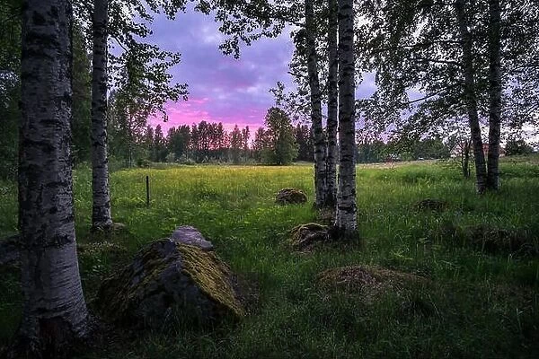 Scenic sunset landscape with birch trees and meadow at summer night in Finland