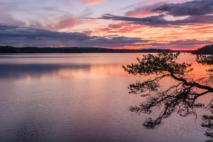 Framed Print : Scenic sunset landscape with peaceful lake and tree at summer evening in Finland Framed Print : Scenic sunset landscape with peaceful lake and tree at summer evening in Finland