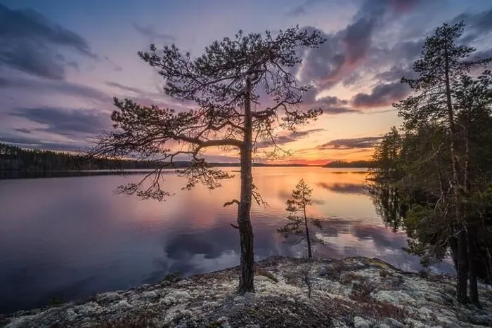 Framed Print : Scenic sunset landscape with peaceful lake and tree at summer evening in Finland Framed Print : Scenic sunset landscape with peaceful lake and tree at summer evening in Finland