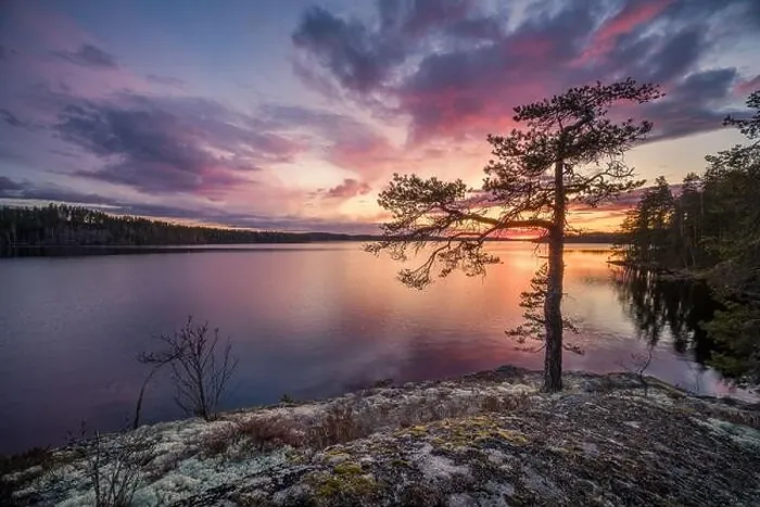Framed Print : Scenic sunset landscape with peaceful lake and tree at summer evening in Finland Framed Print : Scenic sunset landscape with peaceful lake and tree at summer evening in Finland
