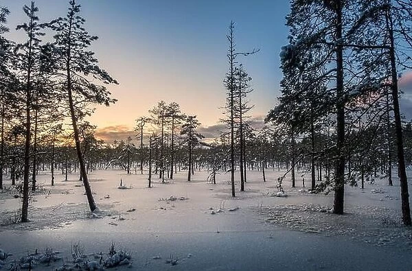 Scenic sunset with wetland at winter time in Finland
