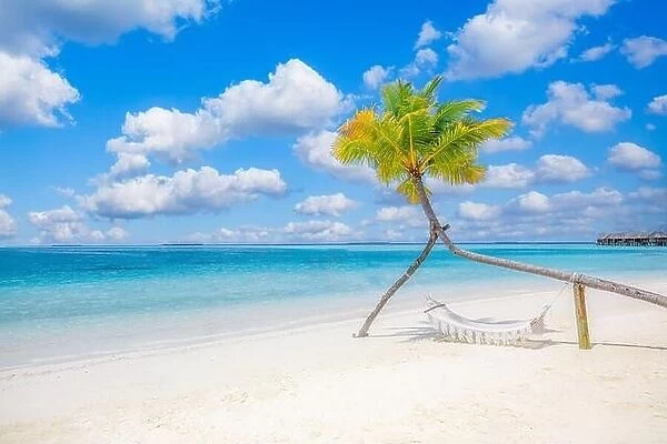 Scenic tropical beach as summer landscape with beach swing or hammock hanging on palm tree over white sand calm seaside view for beach banner Carefree