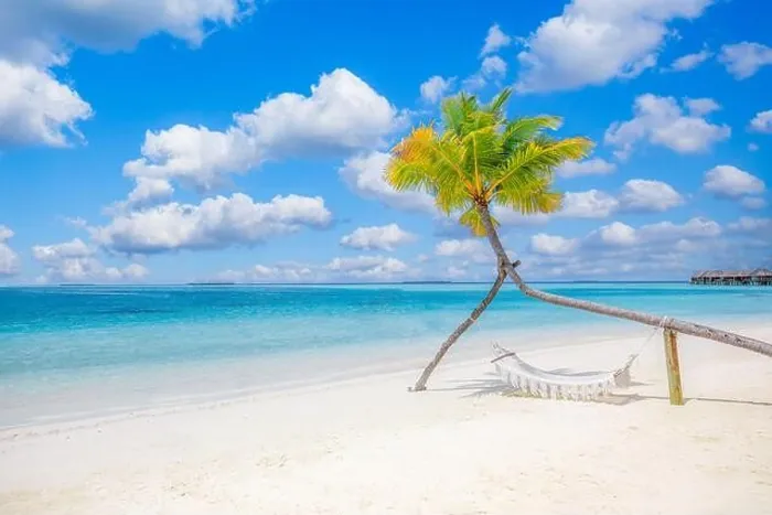 Framed Print : Scenic tropical beach as summer landscape with beach swing or hammock hanging on palm tree over white sand calm seaside view for beach banner Carefree Framed Print : Scenic tropical beach as summer landscape with beach swing or hammock hanging on palm tree over white sand calm seaside view for beach banner Carefree