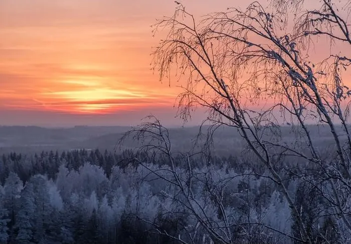 Framed Print : Scenic view with beautiful sunset and frosty tree at winter evening in Finland Framed Print : Scenic view with beautiful sunset and frosty tree at winter evening in Finland