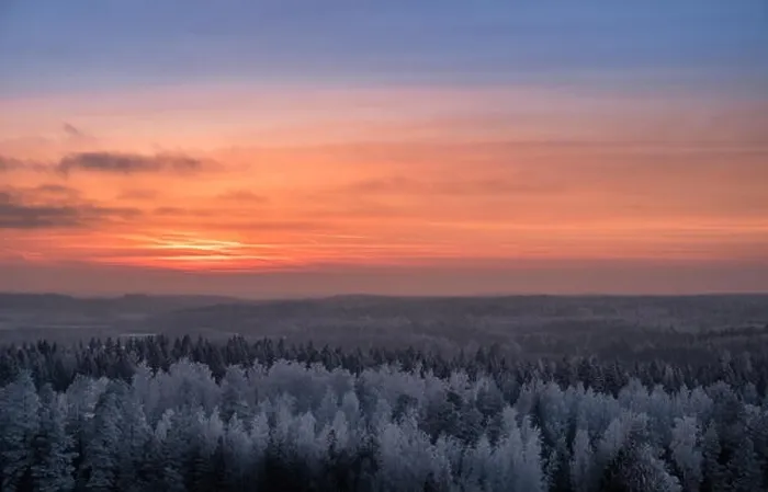 Framed Print : Scenic view with beautiful sunset and frosty tree at winter evening in Finland Framed Print : Scenic view with beautiful sunset and frosty tree at winter evening in Finland