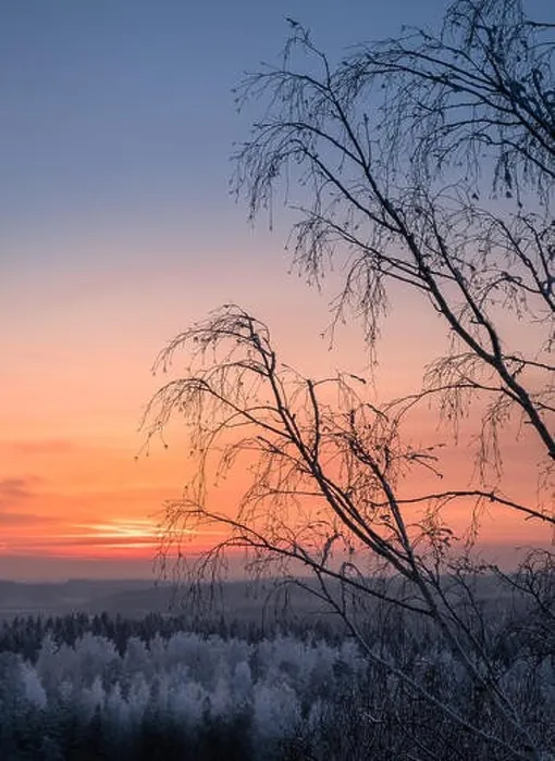 Framed Print : Scenic view with beautiful sunset and frosty tree at winter evening in Finland Framed Print : Scenic view with beautiful sunset and frosty tree at winter evening in Finland