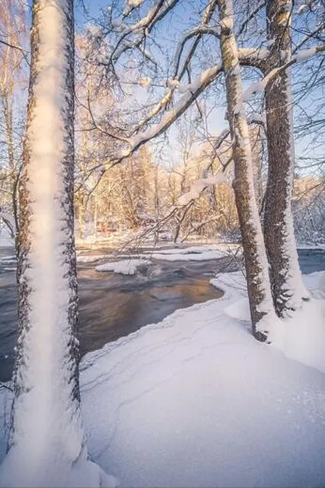Framed Print : Scenic winter landscape with flowing river and morning light in Finland. Snowy trees Framed Print : Scenic winter landscape with flowing river and morning light in Finland. Snowy trees