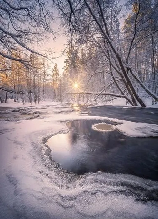 Framed Print : Scenic winter landscape with flowing river and morning light in Finland. Snowy trees Framed Print : Scenic winter landscape with flowing river and morning light in Finland. Snowy trees