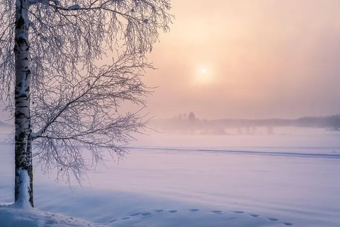 Framed Print : Scenic winter landscape with lonely scow covered tree and sunrise at morning time in Finland Framed Print : Scenic winter landscape with lonely scow covered tree and sunrise at morning time in Finland