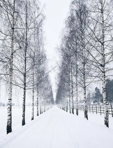 Scenic winter landscape with snowy road at daytime in Finland