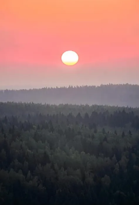 Framed Print : Scenic woodland landscape with rising sun at autumn morning in Finland Framed Print : Scenic woodland landscape with rising sun at autumn morning in Finland