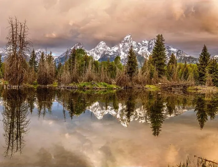 Framed Print : Schwabacher Landing, Tetons, Wyoming Framed Print : Schwabacher Landing, Tetons, Wyoming