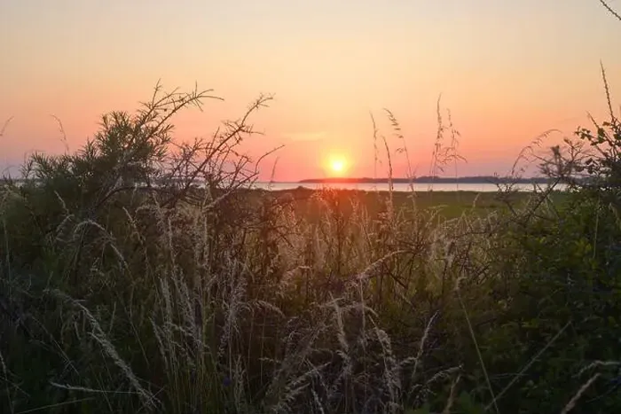 Framed Print : Sea buckthorn bushes, grass, and vegetation, sunset over the Salzhaff in Germany