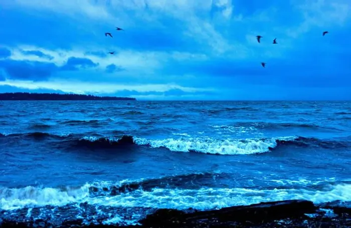 Framed Print : Seabirds and waves along the coast at blue hour; White Rock, British Columbia, Canada