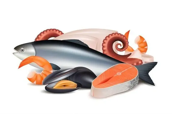 Framed Print : Seafood. Composition of different fresh protein food fish octopus mollusk lobster vector realistic pictures Framed Print : Seafood. Composition of different fresh protein food fish octopus mollusk lobster vector realistic pictures