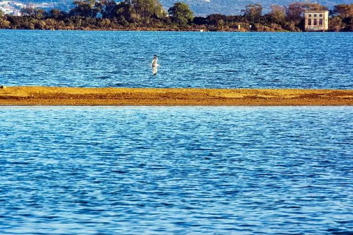 Framed Print : A seagull soars above a narrow sandbar at Gialova Lagoon, Greece, with calm waters and distant trees in the background