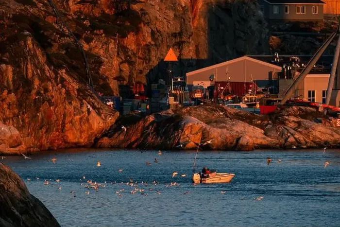 Framed Print : Seagulls swarm a small fishing boat coming into port in Ilulissat, Greenland in the Arctic Framed Print : Seagulls swarm a small fishing boat coming into port in Ilulissat, Greenland in the Arctic