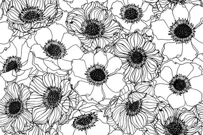 Framed Print : Seamless Anemone flower pattern background. Black and white with drawing line art illustration Framed Print : Seamless Anemone flower pattern background. Black and white with drawing line art illustration