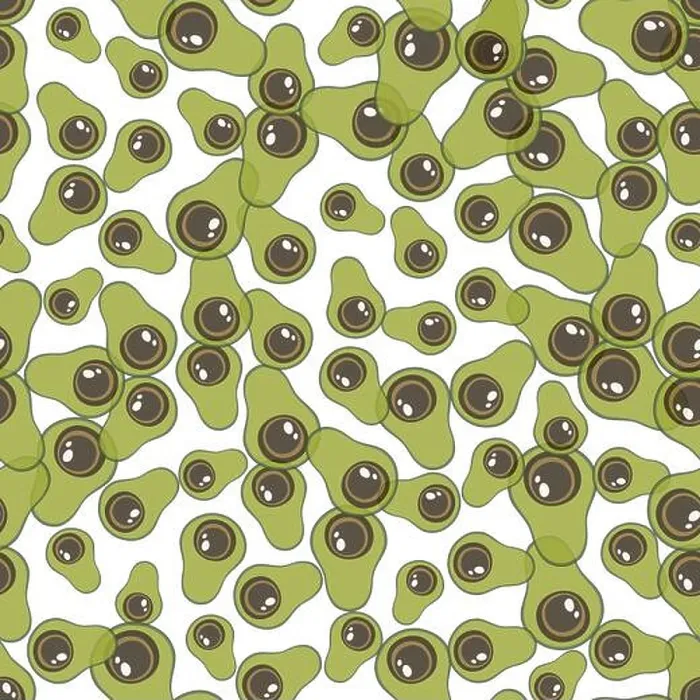 Framed Print : Seamless pattern with green avocado Framed Print : Seamless pattern with green avocado